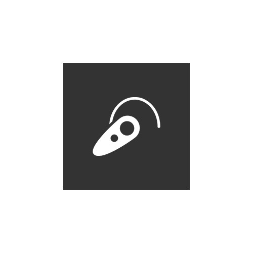 Bluetooth Headsets
