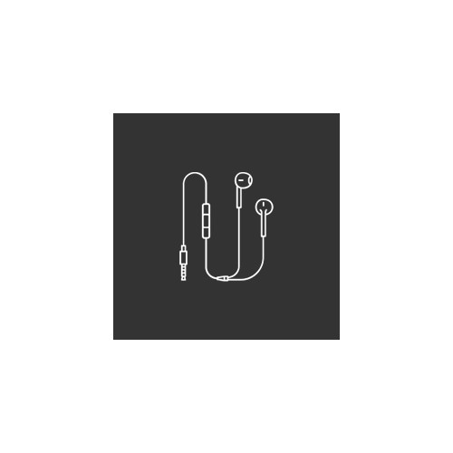 Earphones